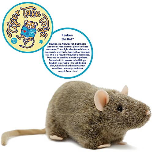 Kawaii Reuben The Rat Plush Stuffed Animal