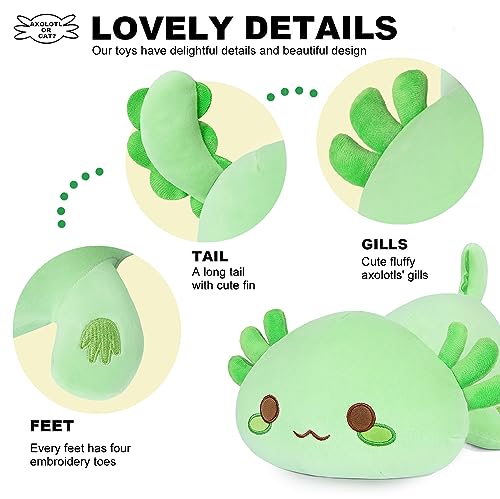 Cute Green Axolotl Kawaii Plush Toy 13