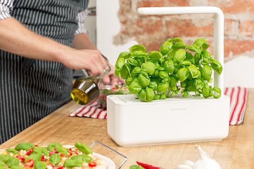 Smart Indoor Herb Garden Kit with Grow Light
