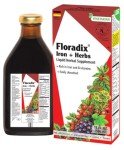 Floradix Vegetarian Iron Liquid Supplement: Energy Support (8 words)