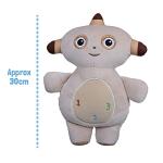 In The Night Garden Makka Pakka Soft Toy