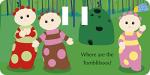 In the Night Garden: Buggy Book Adventure