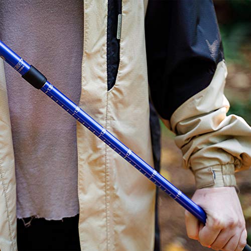 2 Pack Anti Shock Hiking Trail Poles - Blue