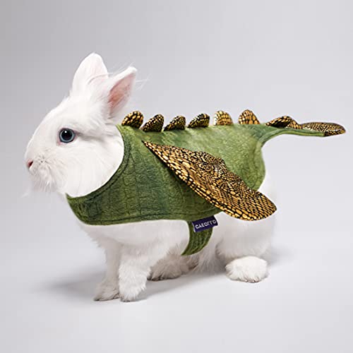Bunny Dinosaur Costume for Small Pets
