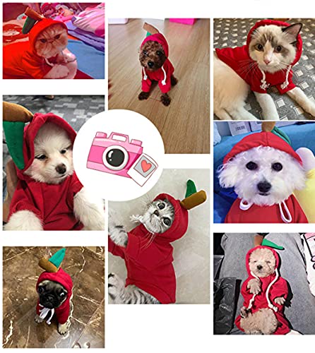 Apple Fruit Hoodie for Pets - Halloween Costume