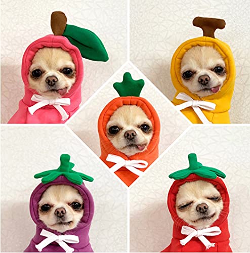 Apple Fruit Hoodie for Pets - Halloween Costume