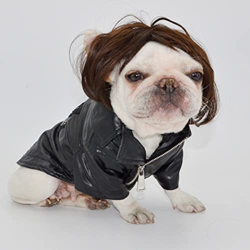 Funny Pet Wig for Dogs and Cats