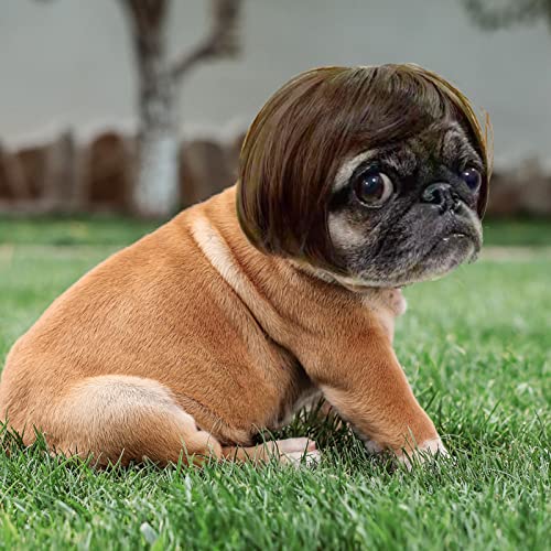 Funny Pet Wig for Dogs and Cats