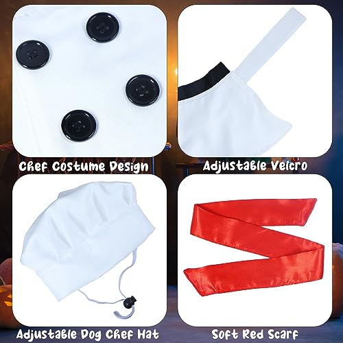 Dog Chef Halloween Costume with Hat & Scarf
