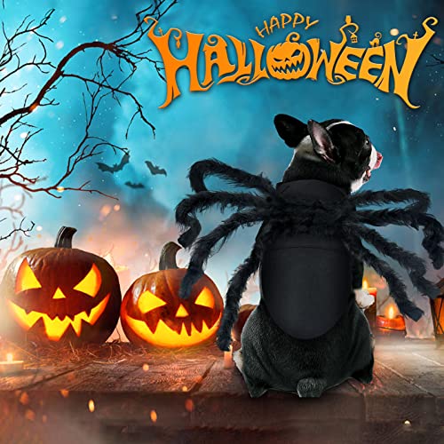 Giant Furry Spider Pet Costume for Halloween