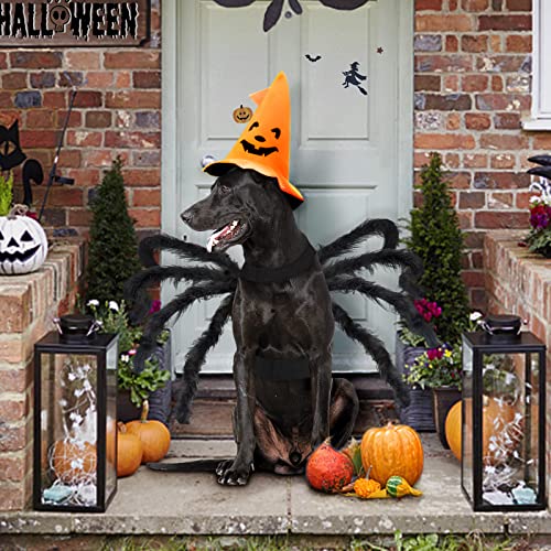 Giant Furry Spider Pet Costume for Halloween