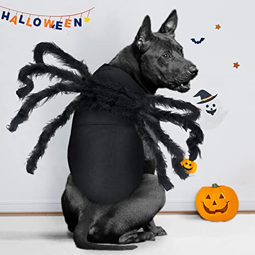 Giant Furry Spider Pet Costume for Halloween