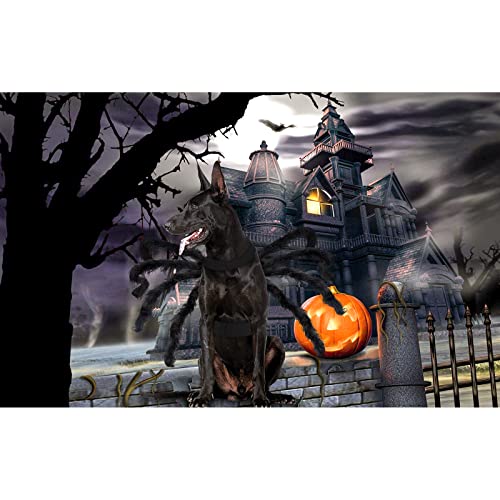 Giant Furry Spider Pet Costume for Halloween