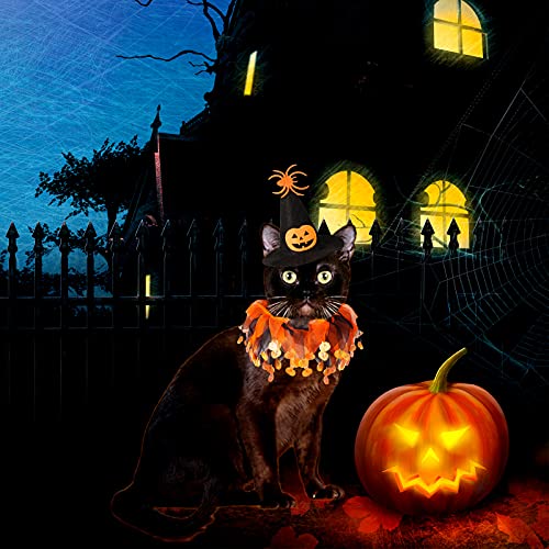 Witch Cat Costume with Tutu and Pumpkin Hat