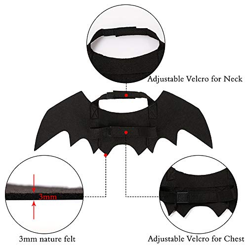 Cute Bat Wings Costume for Cats and Dogs