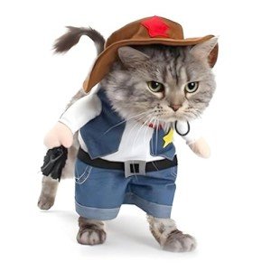 Blue Cowboy Costume with Hat for Dogs & Cats