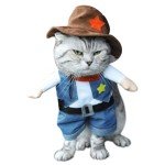 Blue Cowboy Costume with Hat for Dogs & Cats