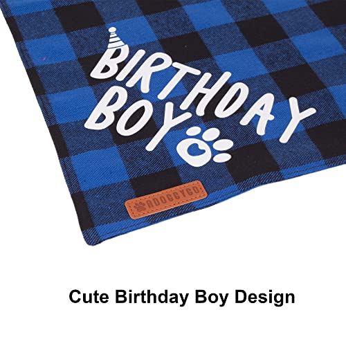 Dog Birthday Party Bandana and Hat Set