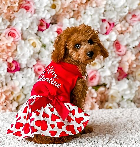 Valentine’s Day Be My Pawlentines Pet Dress