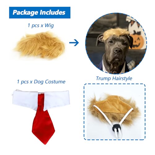 Trump-Inspired Pet Costume with Wig and Tie