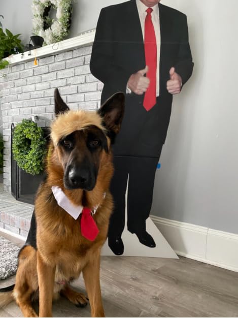 Trump-Inspired Pet Costume with Wig and Tie