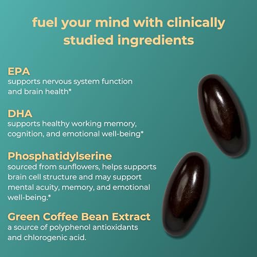 Vegan Omega-3 Supplement for Brain Support