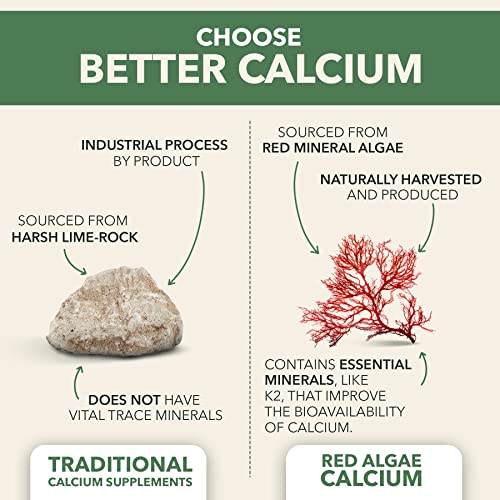 PlantFusion Vegan Calcium & Minerals - 90 Tablets