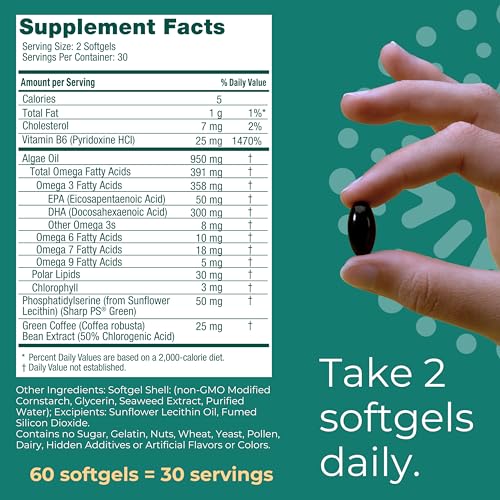 Vegan Omega-3 Supplement for Brain Support