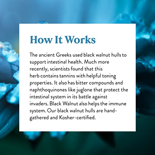 Vegan Omega-3 Black Walnut Capsules - 100 Count