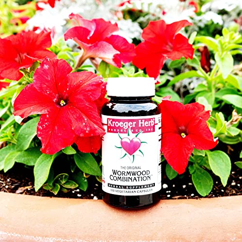 Vegan Omega-3 Supplement with Herbal Blend, 100 Capsules