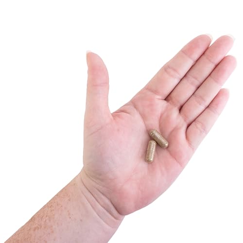 Vegan Omega-3 Supplement with Herbal Blend, 100 Capsules