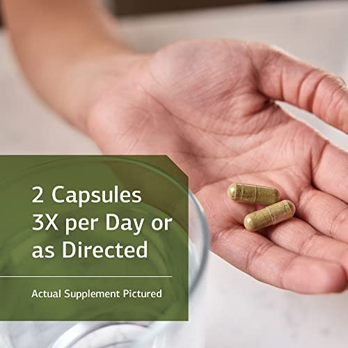 Vegan Omega-3 Support with Green Superfoods - 150 Capsules