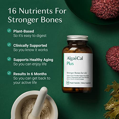 Organic Vegan Omega-3 Algae Supplement - 120 Caps