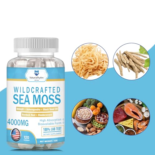Vegan Omega 3 Multivitamin with Seaweed, 120 Capsules