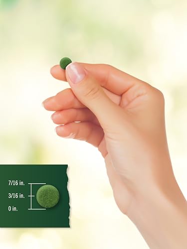 Vegan Omega 3 Chlorella Algae Tablets, 200 Count
