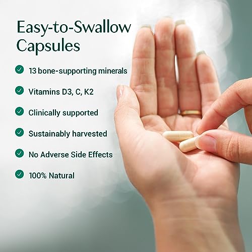 Organic Vegan Omega-3 Algae Supplement - 120 Caps
