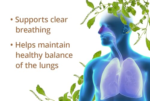 Vegan Perilla Clear Omega-3 Capsules - 100 Count