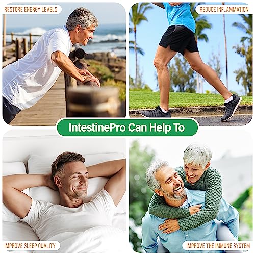 Vegan Omega-3 Supplement with 15 Premium Ingredients