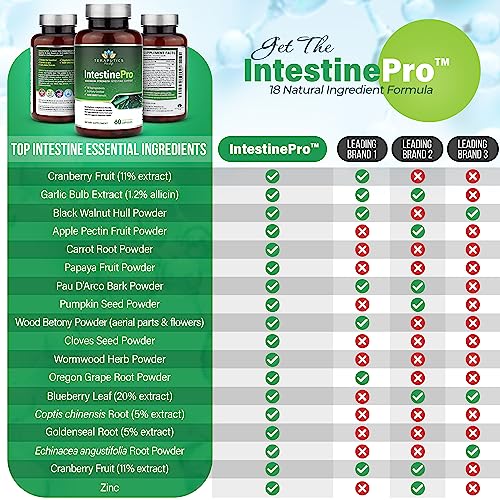 Vegan Omega-3 Supplement with 15 Premium Ingredients