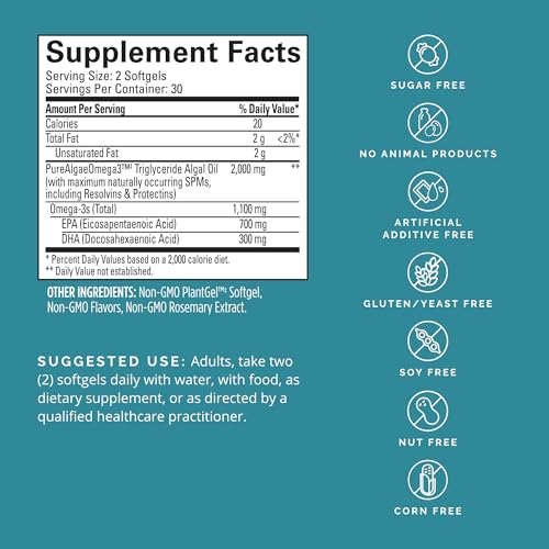 Vegan Omega-3 Power for Focus and Memory