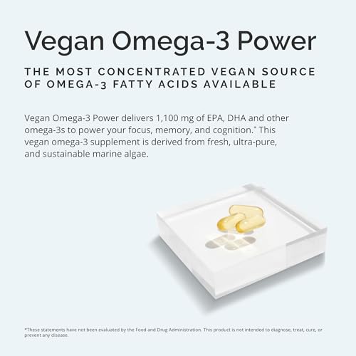 Vegan Omega-3 Power for Focus and Memory
