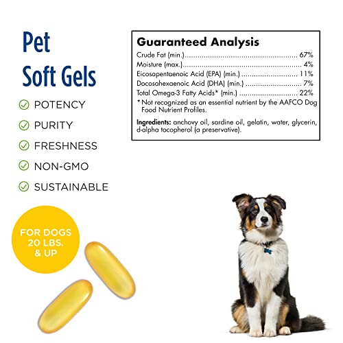 Vegan Omega-3 Soft Gels for Dogs - 90 Count