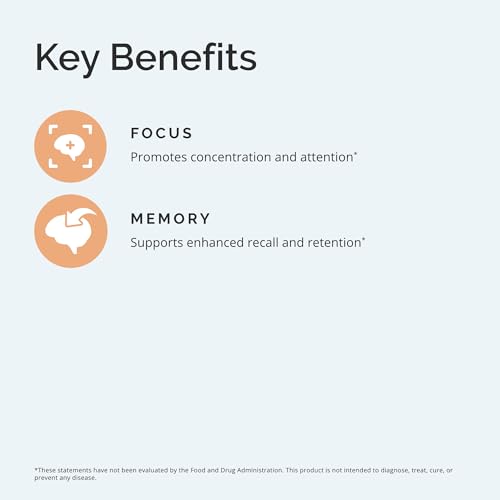 Vegan Omega-3 Power for Focus and Memory