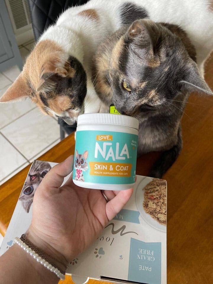 Vegan Omega 3 Skin & Coat Chews for Cats