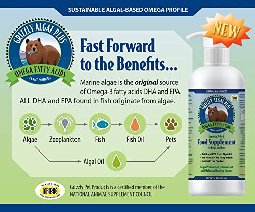 Vegan Omega 3-6-9 Algal Oil for Pets