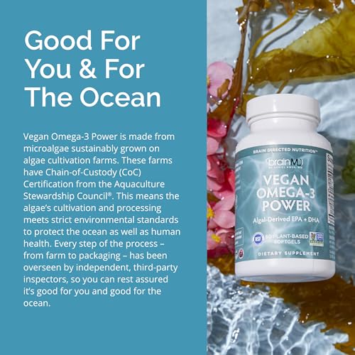 Vegan Omega-3 Power for Focus and Memory