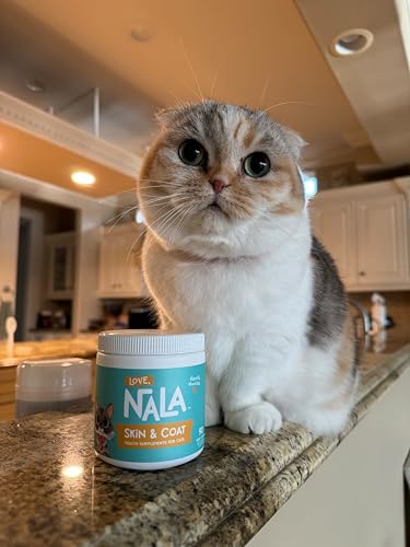 Vegan Omega 3 Skin & Coat Chews for Cats