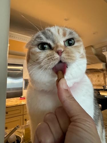 Vegan Omega 3 Skin & Coat Chews for Cats