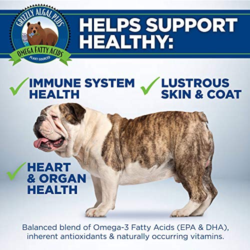 Vegan Omega 3-6-9 Algal Oil for Pets