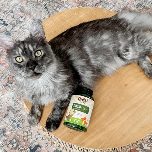 Vegan Omega 3 Supplement for Cats & Dogs